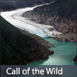 Alaska Call of the Wild Tour